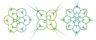 cactus vector icon